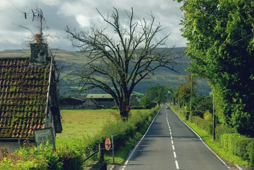 Une route de campagne, un panneau indicateur, un grand arbre sans feuilles et une chaîne de montagnes lointaine. 2
