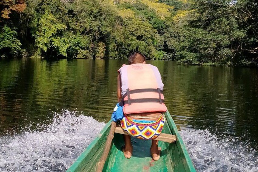A person in a green boat on a calm river surrounded by dense greenery. 5