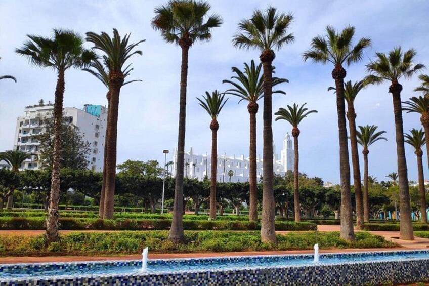 Casablanca Small-Group Tour: Hassan II Mosque, Quartier Habous 5