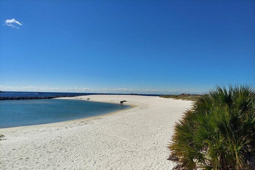 A beach with clear blue water, sandy shore, and a palm tree. 2