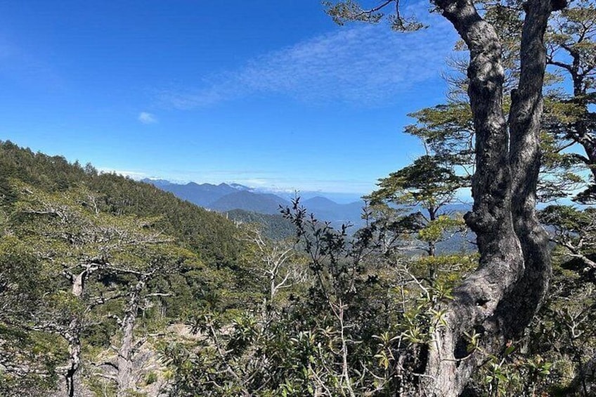 A mountainous landscape with a prominent tree in the foreground and a distant view of mountains under a clear sky. 3
