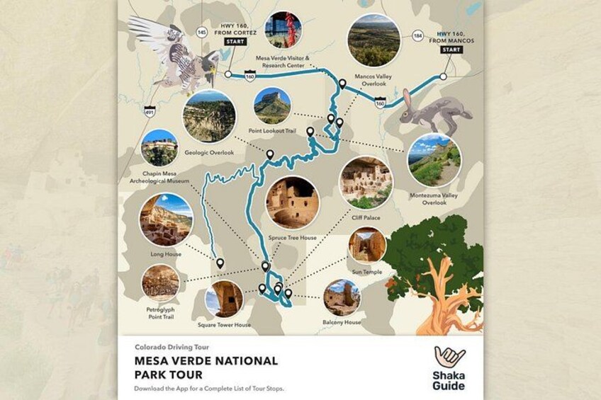 A map of Mesa Verde National Park tour with various stops and trails. 5
