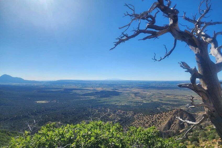 A landscape with a prominent dead tree, a valley, and distant mountains under a clear sky. 3