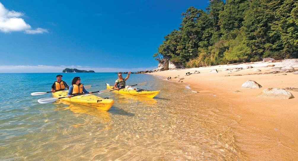 Three people kayaking on a beach with clear water and a forested area in the background. 2