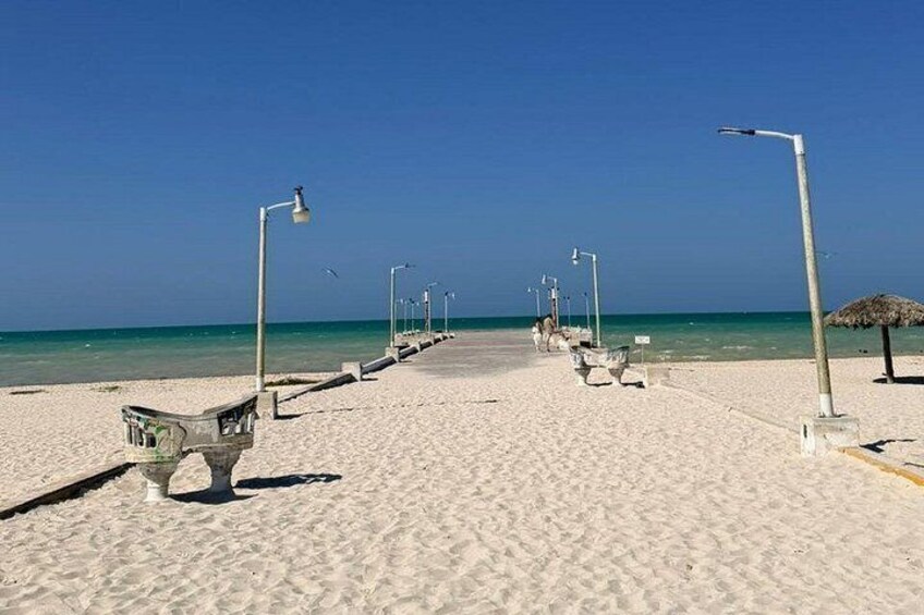 A beach with a clear sky, a sandy shore, and a row of street lamps. 3