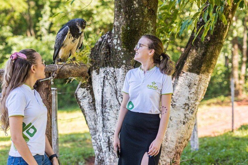 Dreams Zoo Park with Transport 5