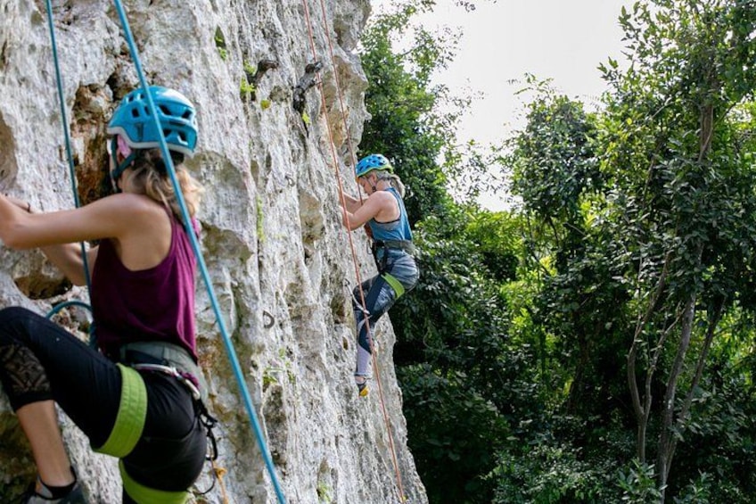 Two people rock climbing on a rocky cliff surrounded by greenery. 2