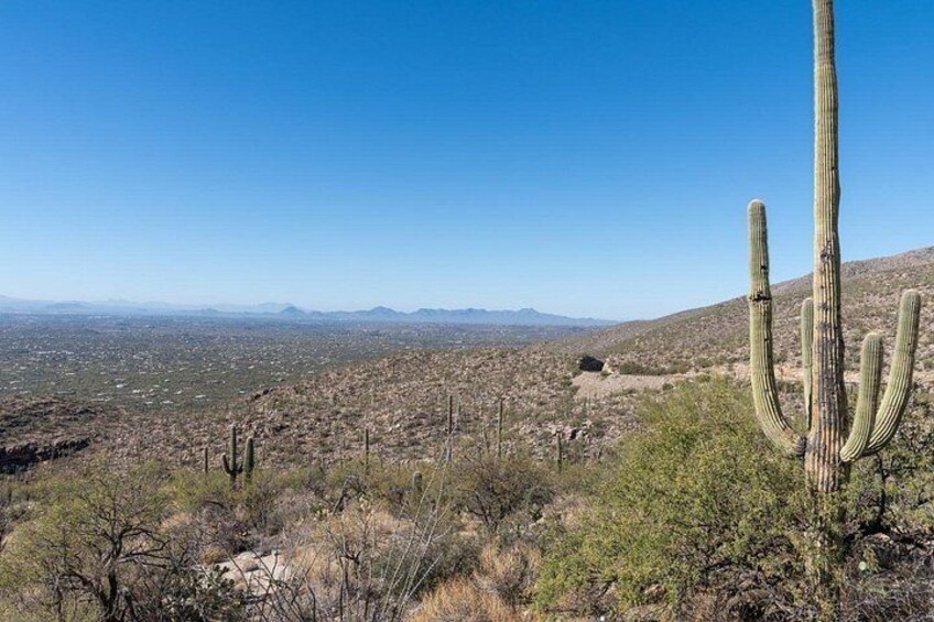 Self-Guided Audio Driving Tour of Mount Lemmon 3