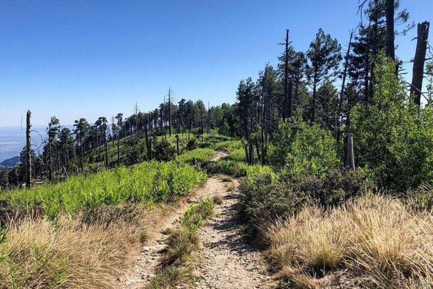 Self-Guided Audio Driving Tour of Mount Lemmon 3