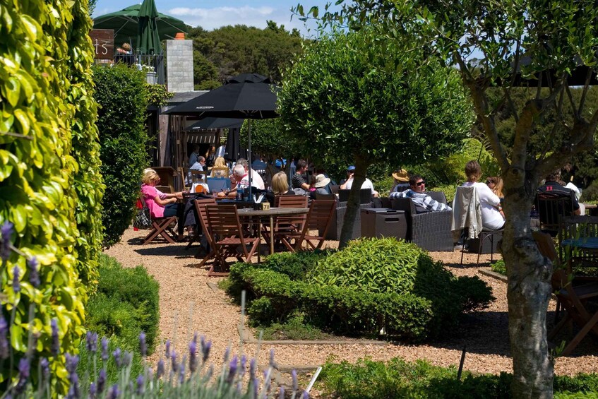 Picture 3 for Activity Waiheke Island: Scenic commentated PREMIUM Wine Tour 4