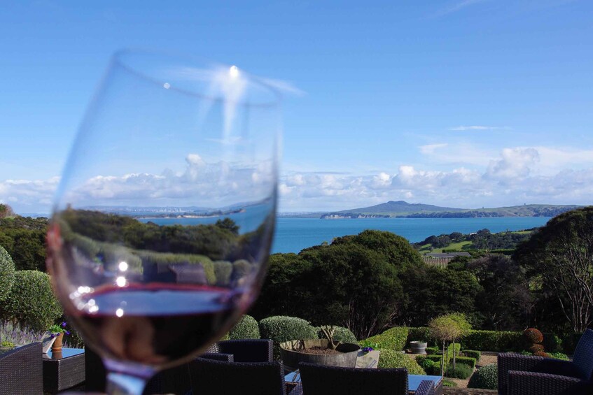 Picture 4 for Activity Waiheke Island: Scenic commentated PREMIUM Wine Tour 2