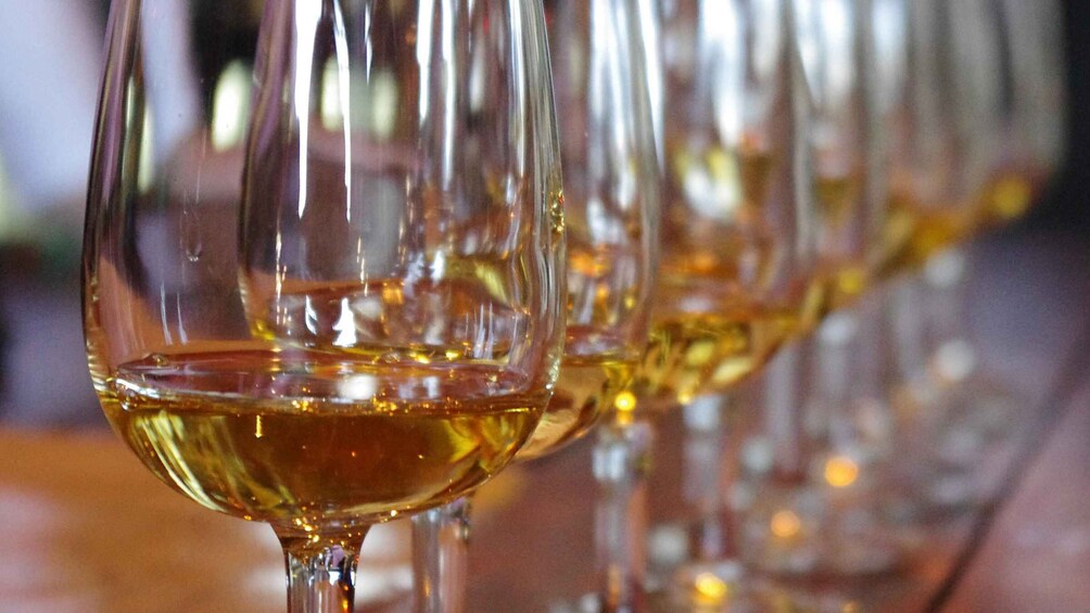 Waiheke Island: Scenic commentated PREMIUM Wine Tour 3