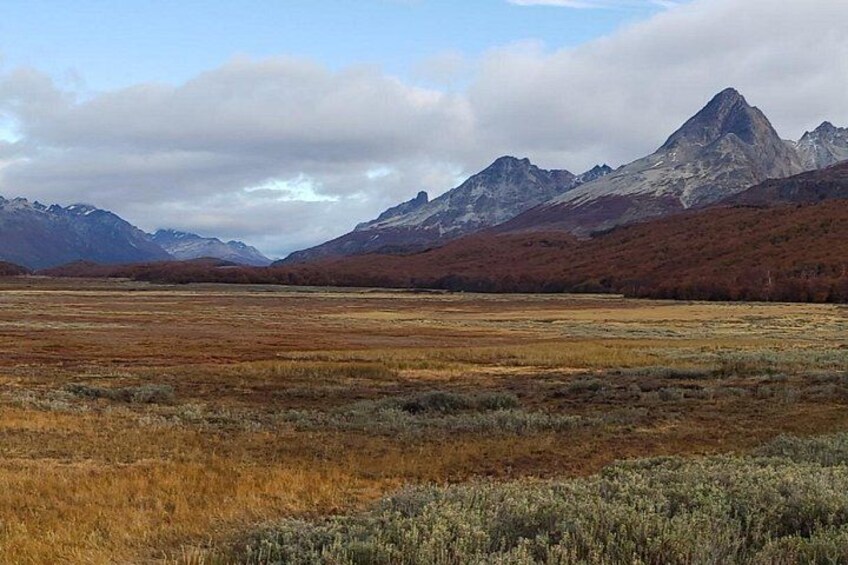Private Tour to Garibaldi Pass, Escondido and Fagnano Lakes 5