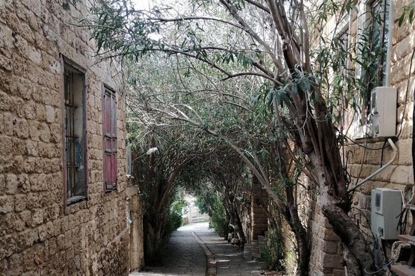 A narrow alleyway with stone buildings, a tree-lined path, and a distant view. 2