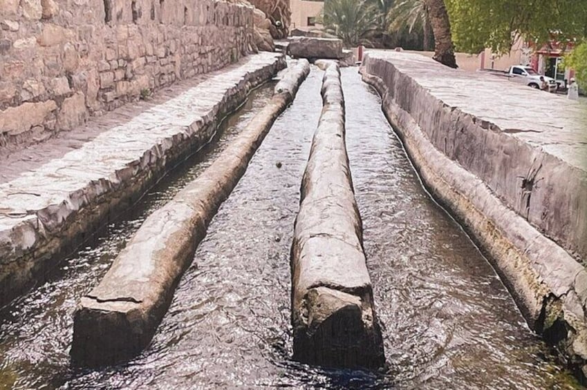 Full Day Friday Nizwa Animal Cattle Market & Jebel Akhdar Tour 2