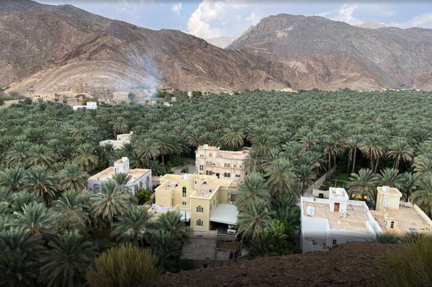 Full Day Friday Nizwa Animal Cattle Market & Jebel Akhdar Tour 3