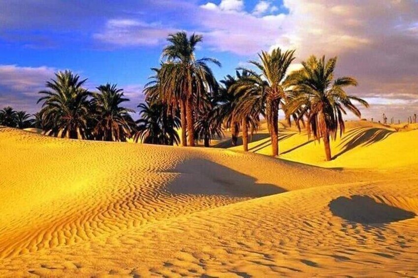 4-day private tour of southern Tunisia and Djerba from Tunis