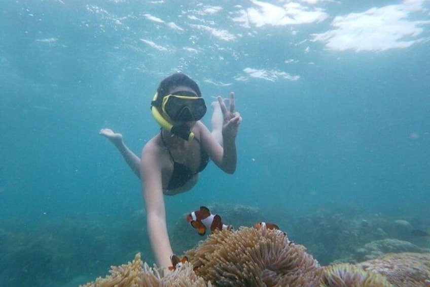 Une personne pratiquant la plongée sous-marine au milieu d’un récif corallien, avec un poisson-clown. 1