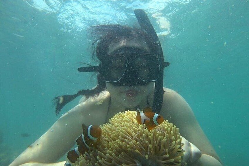 Une personne sous l'eau tenant une anémone de mer avec des poissons-clowns. 3