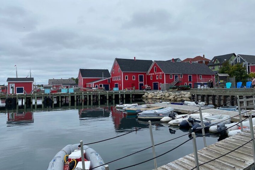 Peggy's Cove, Lunenburg and Titanic Cemetery Full Day Tour 3