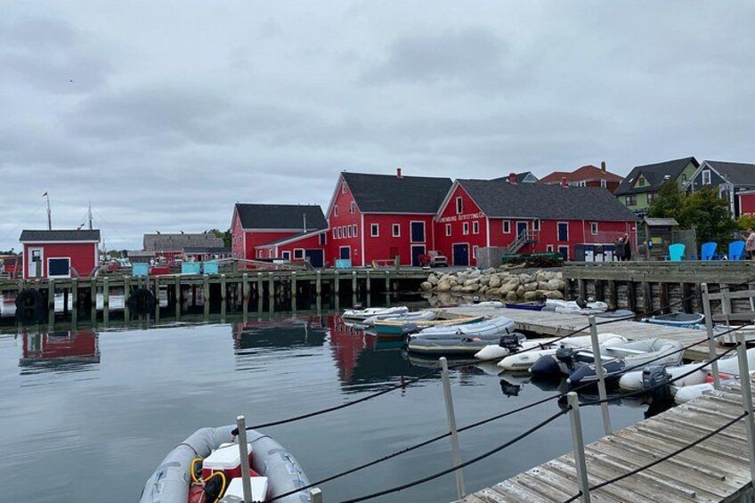 Peggy's Cove, Lunenburg and Titanic Cemetery Full Day Tour 4