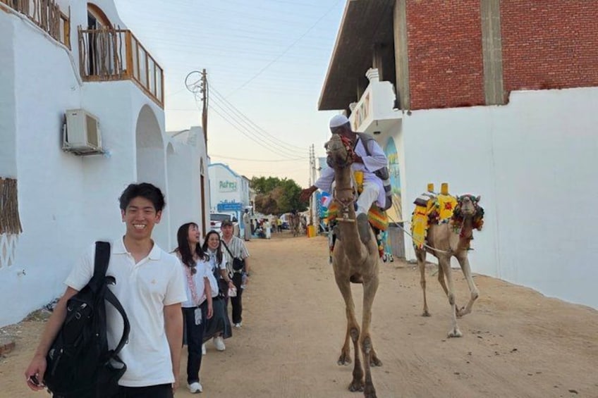 Private Tour to the Nubian Village and Felucca Ride in Aswan 5