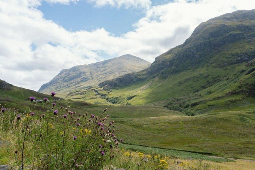 A mountainous landscape with green hills and purple flowers in the foreground. 3