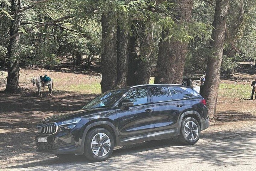 En svart SUV står parkerad i ett skogsområde med träd och en häst syns i bakgrunden. 3
