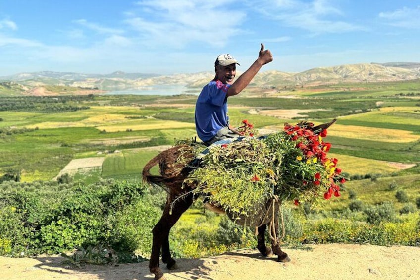 En person som rider på en åsna och bär en korg med växter och blommor, med en lantlig landskapskuliss i bakgrunden, bestående av åkrar och kullar. 2