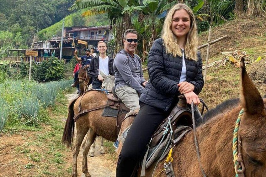 Private Coffee & Panel Tour Near Medellin All Inclusive 5