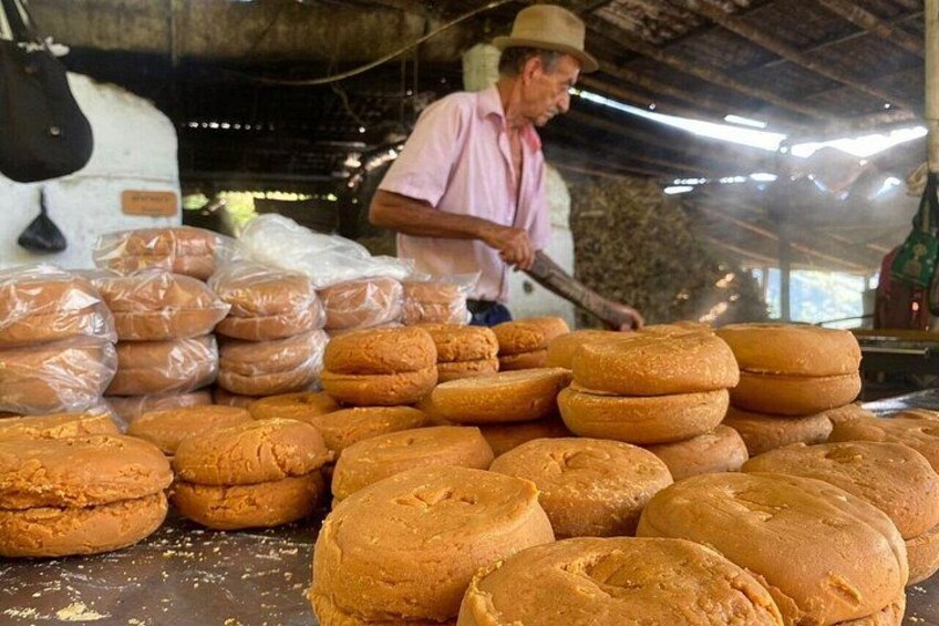 Private Coffee & Panel Tour Near Medellin All Inclusive 2