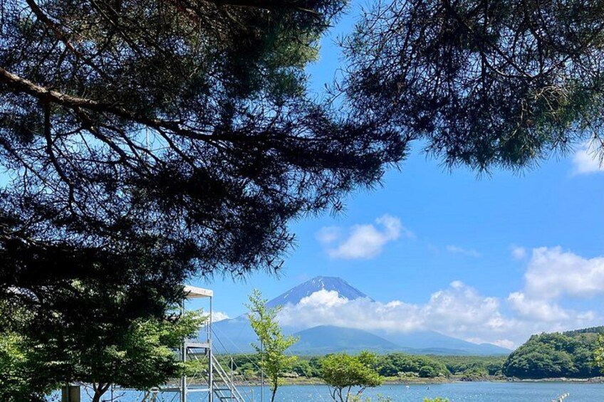 Mt Fuji & Hakone Customizable Private Tour with English Driver 2