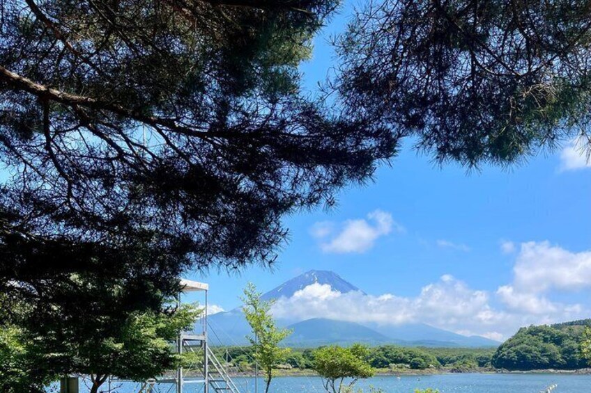 Mt Fuji & Hakone Custom Private Tour from Tokyo w/ English Driver 2