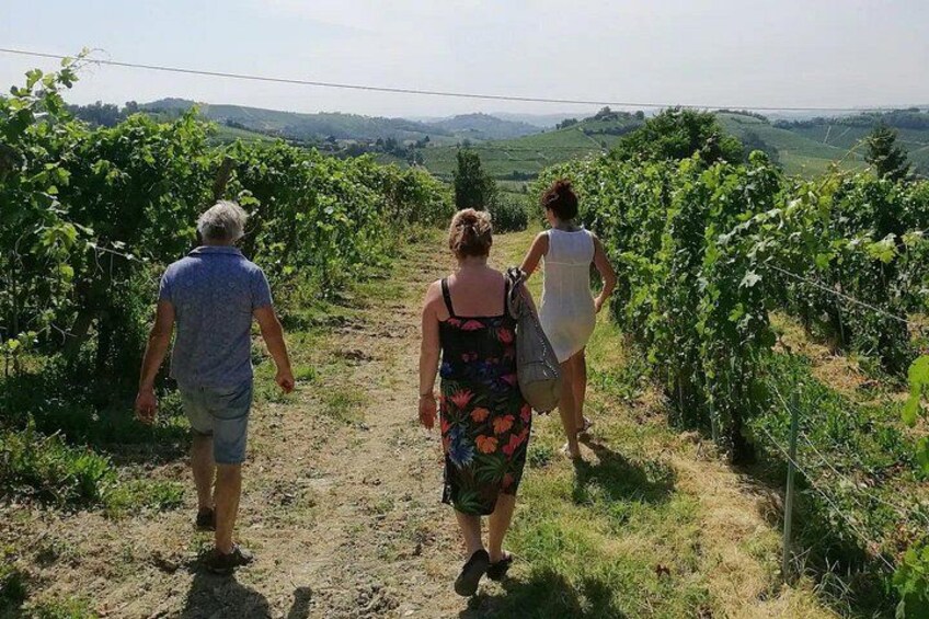 Authentic Piedmont small producers wine tour with a Sommelier 3