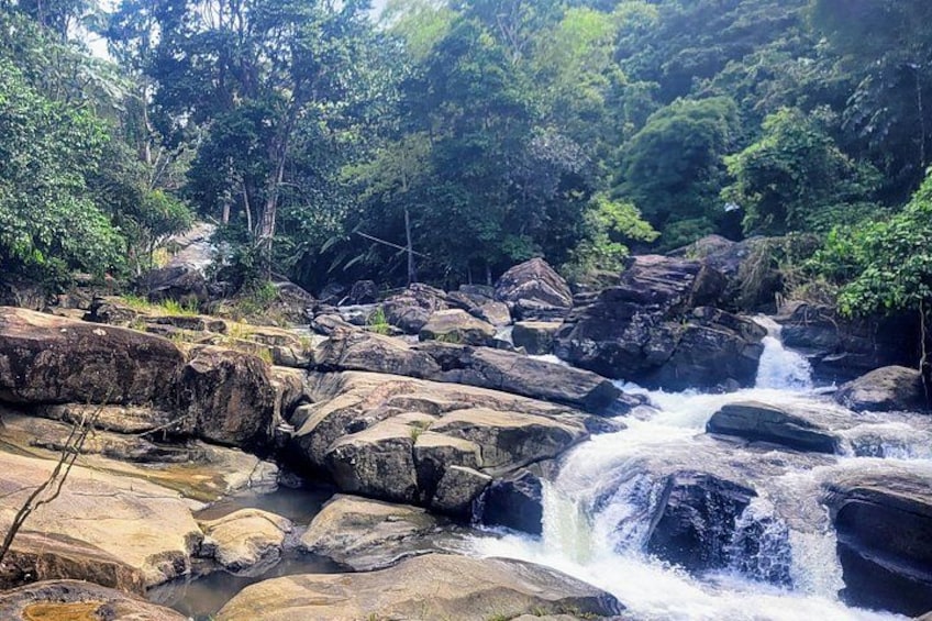The Perfect tour of Puerto Rico 2