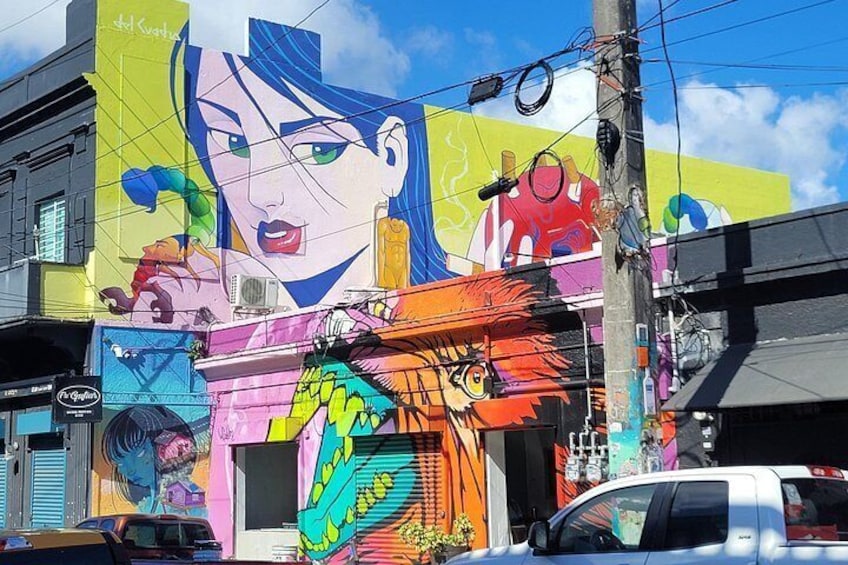 The Perfect tour of Puerto Rico 2