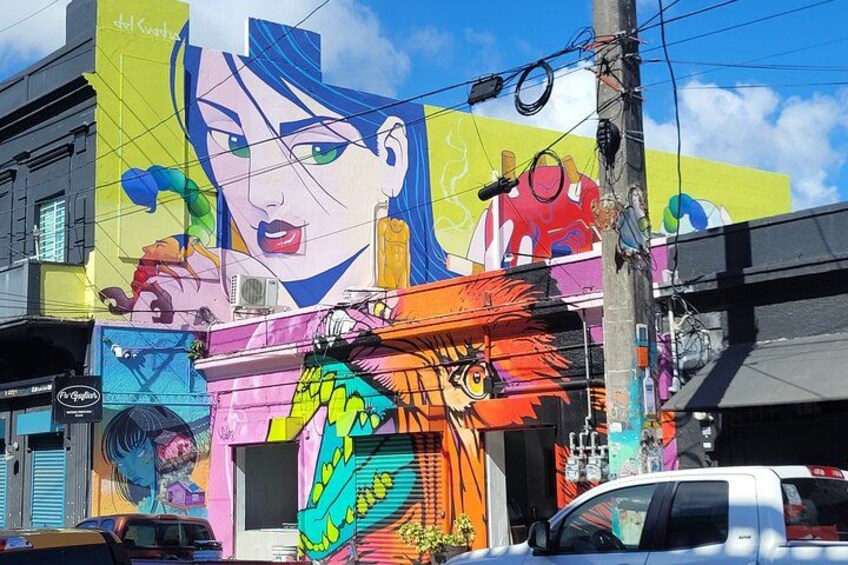 The Perfect tour of Puerto Rico 3