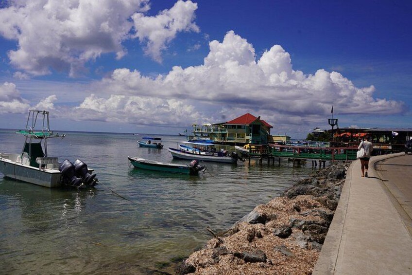 A coastal scene with boats docked at a pier, a clear sky, and a building with a red roof. 3