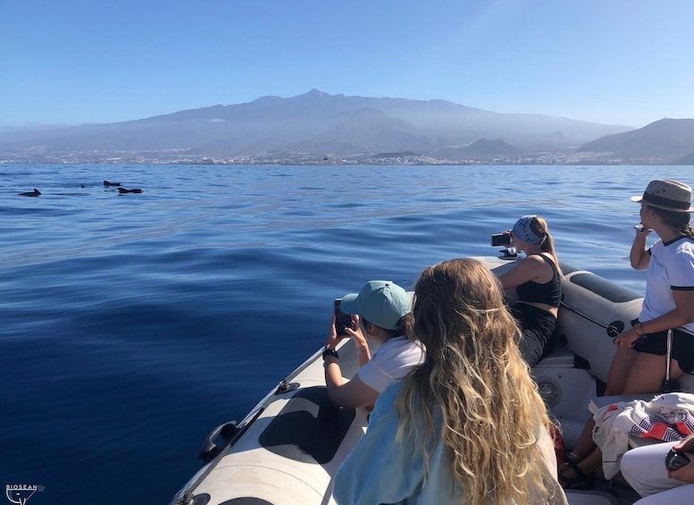 A boat with people on it, some taking photos, and dolphins in the water. 1