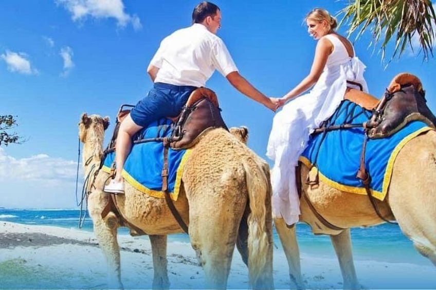 Due persone a dorso di cammelli su una spiaggia, con l'oceano sullo sfondo. 1