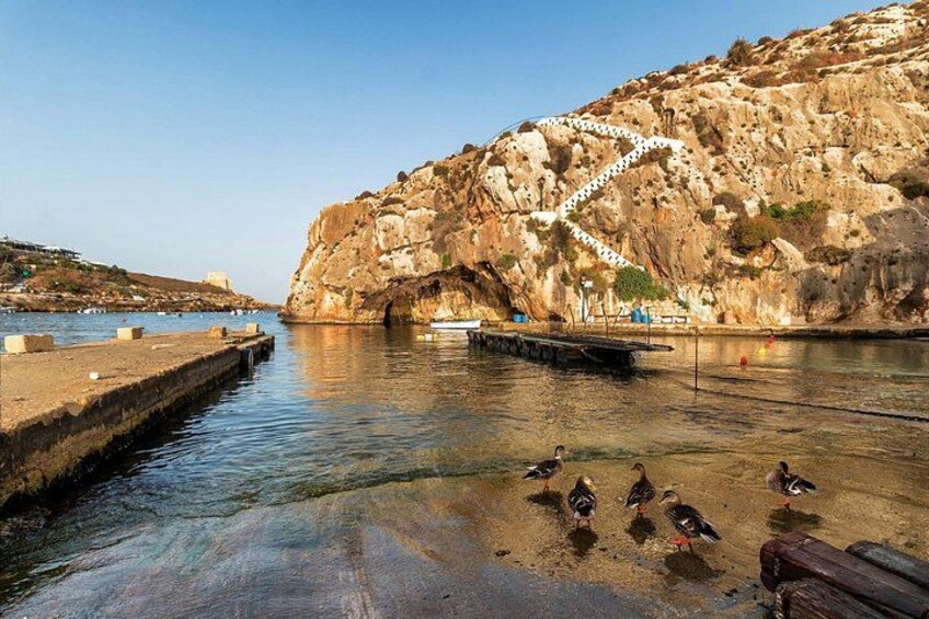 A rocky coastline with a pier extending into calm waters, a clear sky, and a few birds on the shore. 5