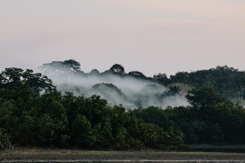 7 Day Amazon Deep Survival Trip to Amanã lake 3
