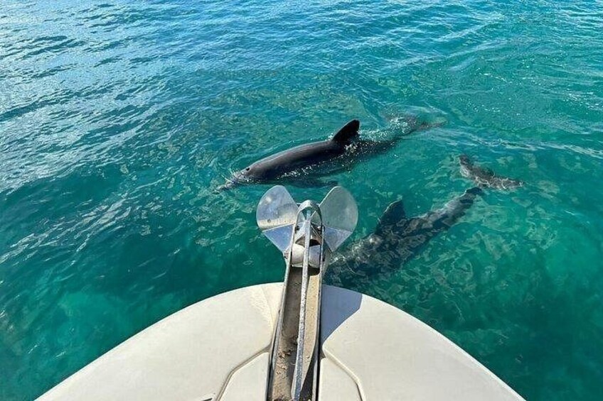 West Palm Beach Private Boat Cruise and Tour with a Captain 5