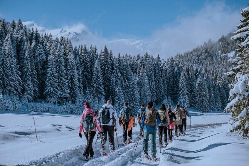 Montenegro Snowshoeing Durmitor 1
