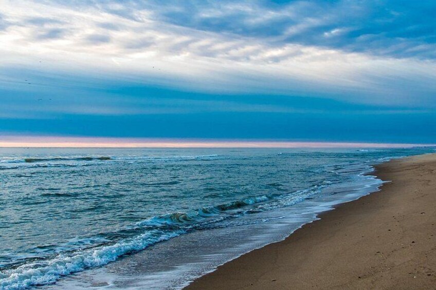 San Diego Private Highlights Tour with Daily Chauffeur 5