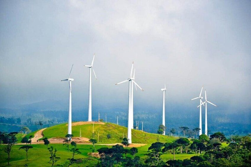 Un paysage avec plusieurs éoliennes sur une colline herbeuse. 5