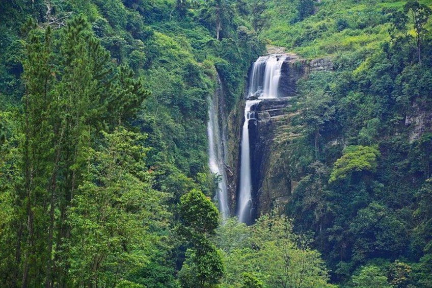 Une cascade se déversant le long d’une falaise, entourée d’une forêt verdoyante et luxuriante. 3