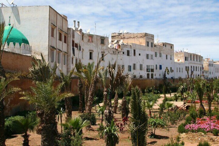 A courtyard with palm trees and a building with a green dome. 2
