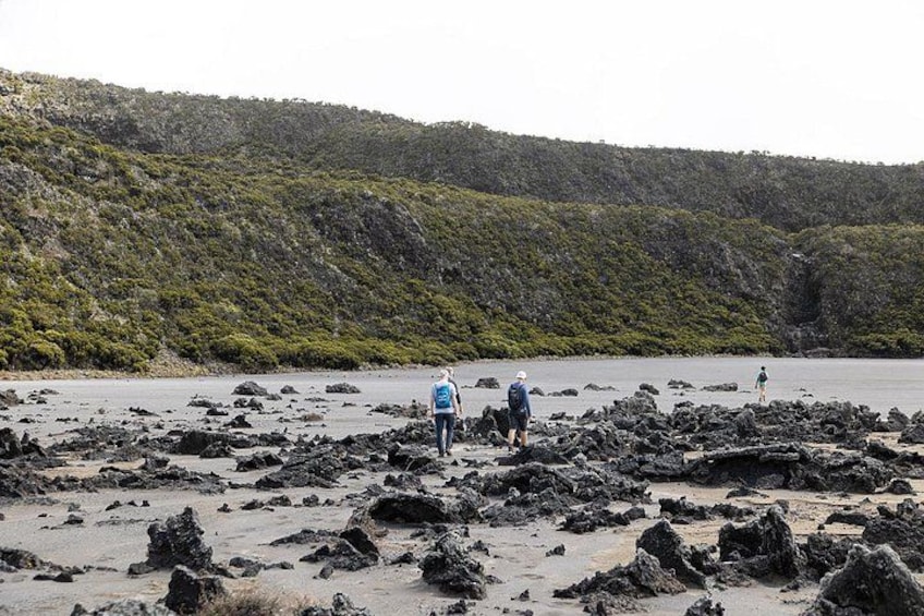 A rocky beach with people exploring. 3