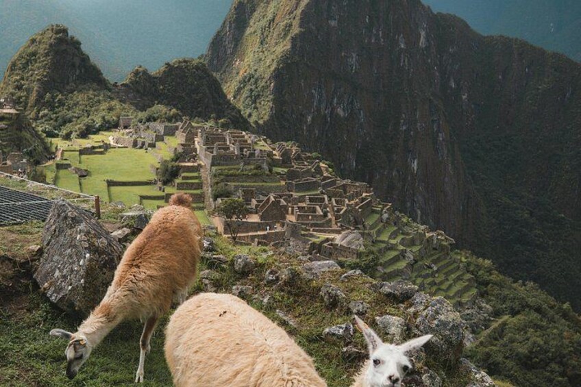 Machu Picchu Ticket, Bus & Private Guide 2